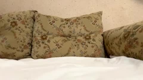 Snapshot of maxseb24 chatting on February 8, 2:05 pm Max online show from February 8, 2:05 pm