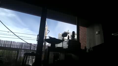 Snapshot of mazl0w chatting on December 27, 6:03 am mazl0w online show from December 27, 6:03 am