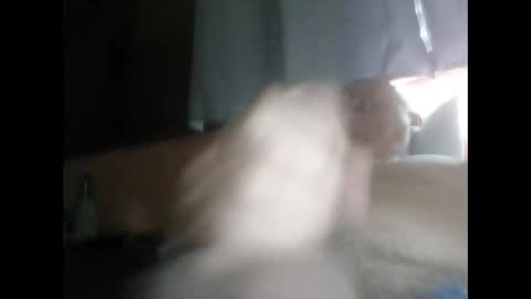 Snapshot of mbravo420 chatting on October 16, 12:35 pm mbravo420 online show from October 16, 12:35 pm