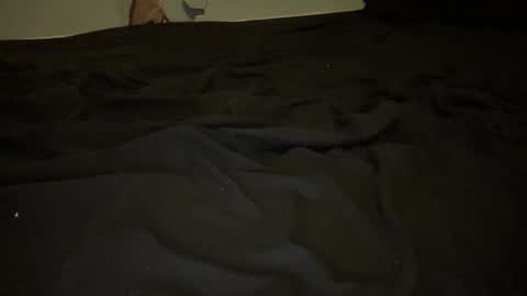 melt13 online show from November 13, 4:17 am