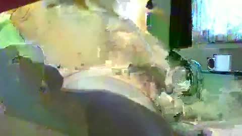 Micha online show from January 24, 8:02 am