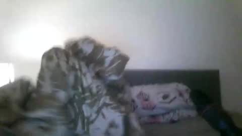 michaelmorgan387 online show from November 6, 5:38 pm