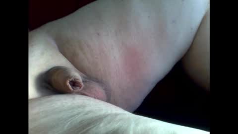 micropimmel online show from February 23, 2:43 pm