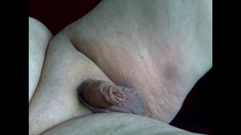 micropimmel online show from December 26, 11:21 am