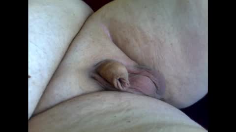 micropimmel online show from February 1, 11:32 am