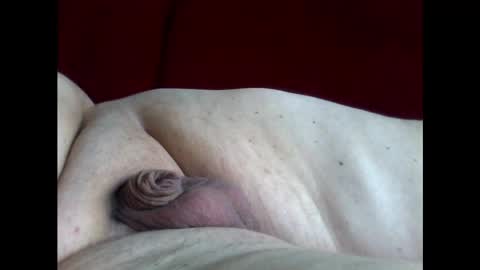 micropimmel online show from December 23, 10:42 am