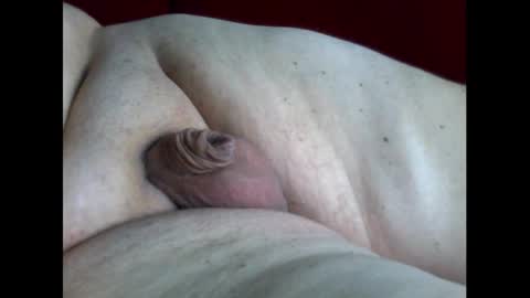 micropimmel online show from September 21, 10:15 am