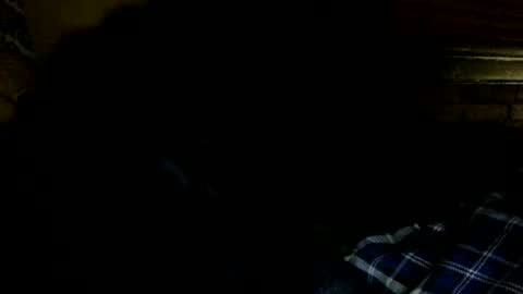 Snapshot of midiin chatting on February 18, 6:37 am midiin online show from February 18, 6:37 am