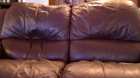 misohoney007 online show from April 11, 12:41 pm