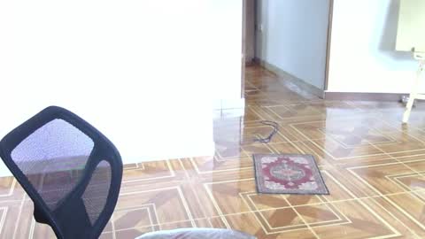     online show from March 8, 2:43 pm