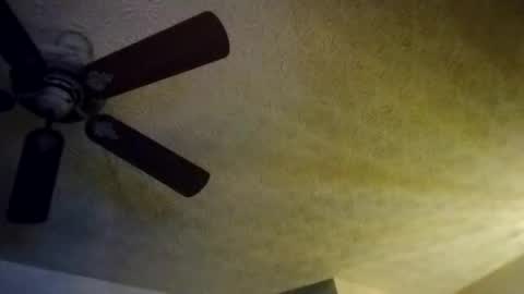 BobbyMitchGa online show from October 10, 8:19 am