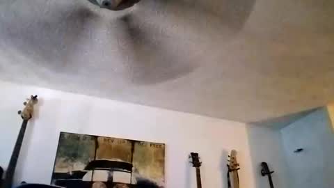 BobbyMitchGa online show from September 14, 6:21 pm