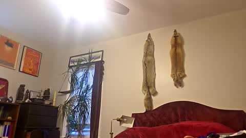 cum show j online show from September 25, 11:57 pm