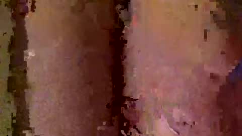 Mondi82 online show from December 19, 11:56 pm