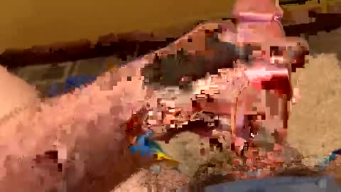 Henry online show from January 23, 12:52 pm