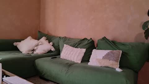 Juan online show from September 25, 8:35 am