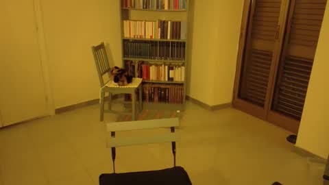 mrkurt86 online show from November 21, 4:50 pm