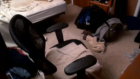 mrmazo online show from September 14, 10:50 am