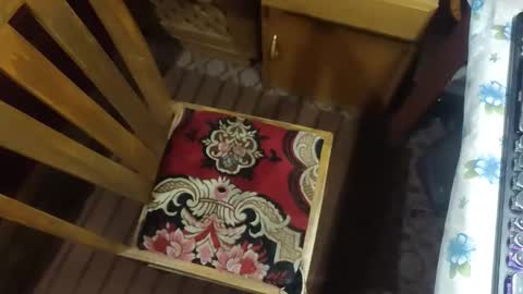 zenon online show from December 20, 10:06 pm