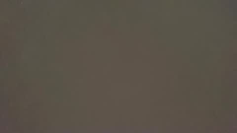 munkey40 online show from February 15, 2:25 pm