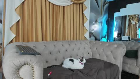 Kevin online show from January 31, 7:29 am