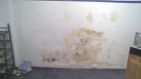 David Leon online show from October 10, 8:30 am