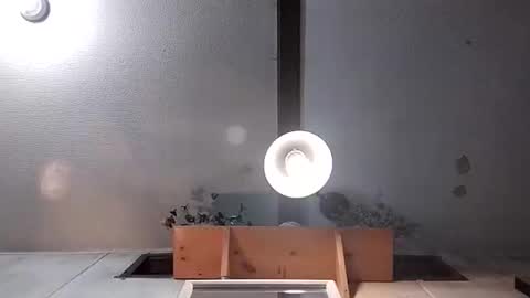 Mynutts online show from December 22, 12:41 am