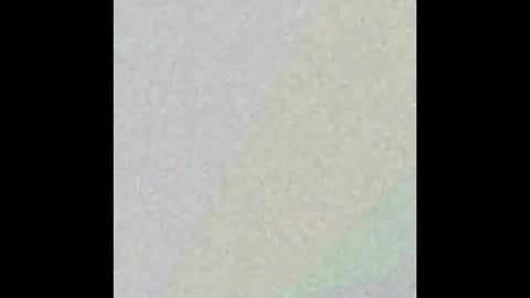 n33ds2br33d online show from November 4, 7:15 pm