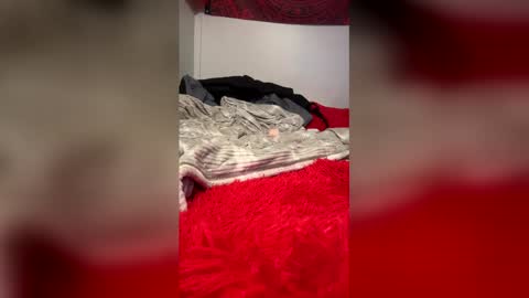 cheesechip online show from December 16, 10:11 am