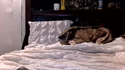 Haven online show from March 6, 6:38 pm