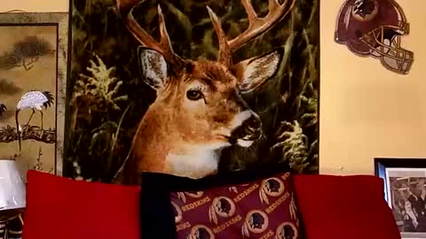 Snapshot of naughtyy_ken chatting on February 10, 7:17 pm Mekhi or Khi online show from February 10, 7:17 pm