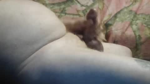 ned is naughty online show from February 2, 9:19 am