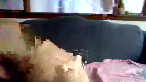 Snapshot of newguy81240 chatting on October 23, 5:49 pm Newguy81240 online show from October 23, 5:49 pm