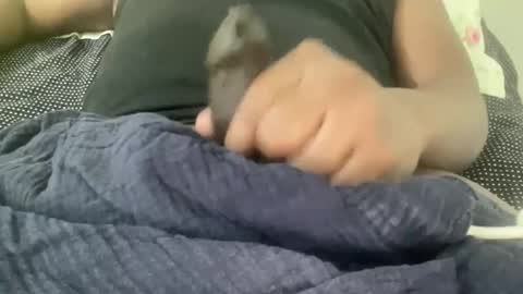 BBC LIVE online show from December 19, 10:42 pm