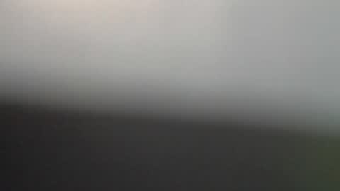 ni983 online show from February 2, 7:55 pm