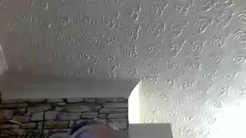 nice_cock8080 online show from June 14, 10:23 pm