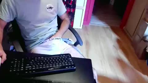 nicecck24 online show from November 7, 5:11 am