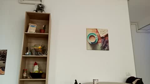 Nick online show from January 30, 12:06 pm