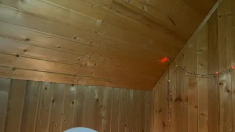 Nick online show from January 16, 2:30 pm