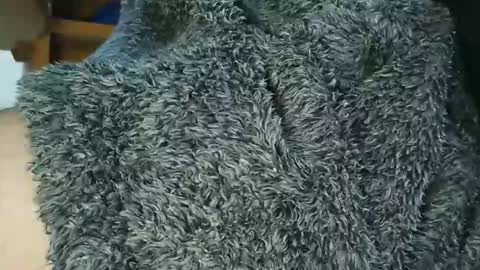 nineinchhard online show from February 24, 10:38 am