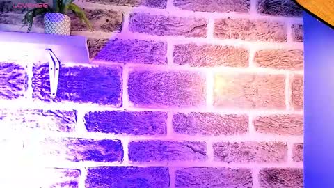    online show from September 21, 1:00 pm