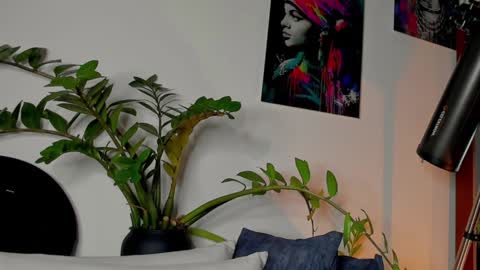 kevin online show from January 18, 12:06 am