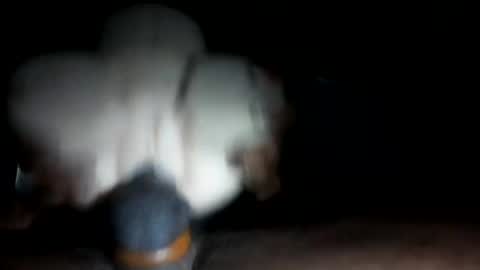 nutbator online show from October 6, 1:05 pm