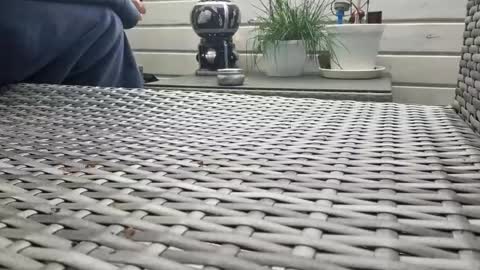 Naked cannon  online show from April 16, 7:30 am