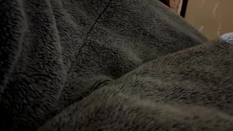 oconner701 online show from January 19, 10:28 am