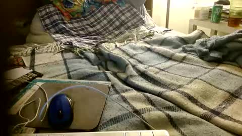 Mattu online show from November 14, 6:16 am