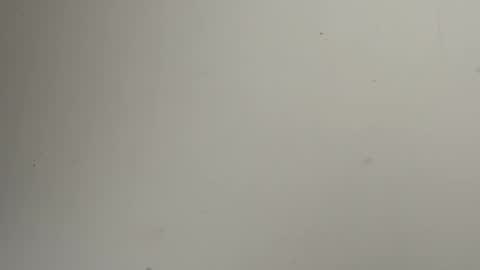 or online show from December 15, 2:25 pm