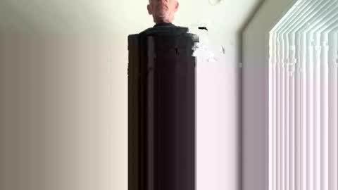 oralzoo2 online show from February 9, 12:37 am