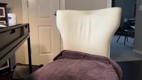 orlandoofurr online show from January 19, 2:38 pm