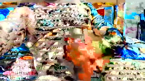 oscar670473 online show from June 17, 2:35 am